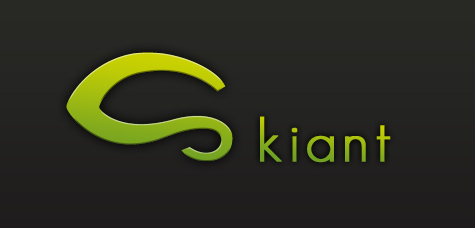Mathieu 'Skiant' Dubois : Portfolio & Blog